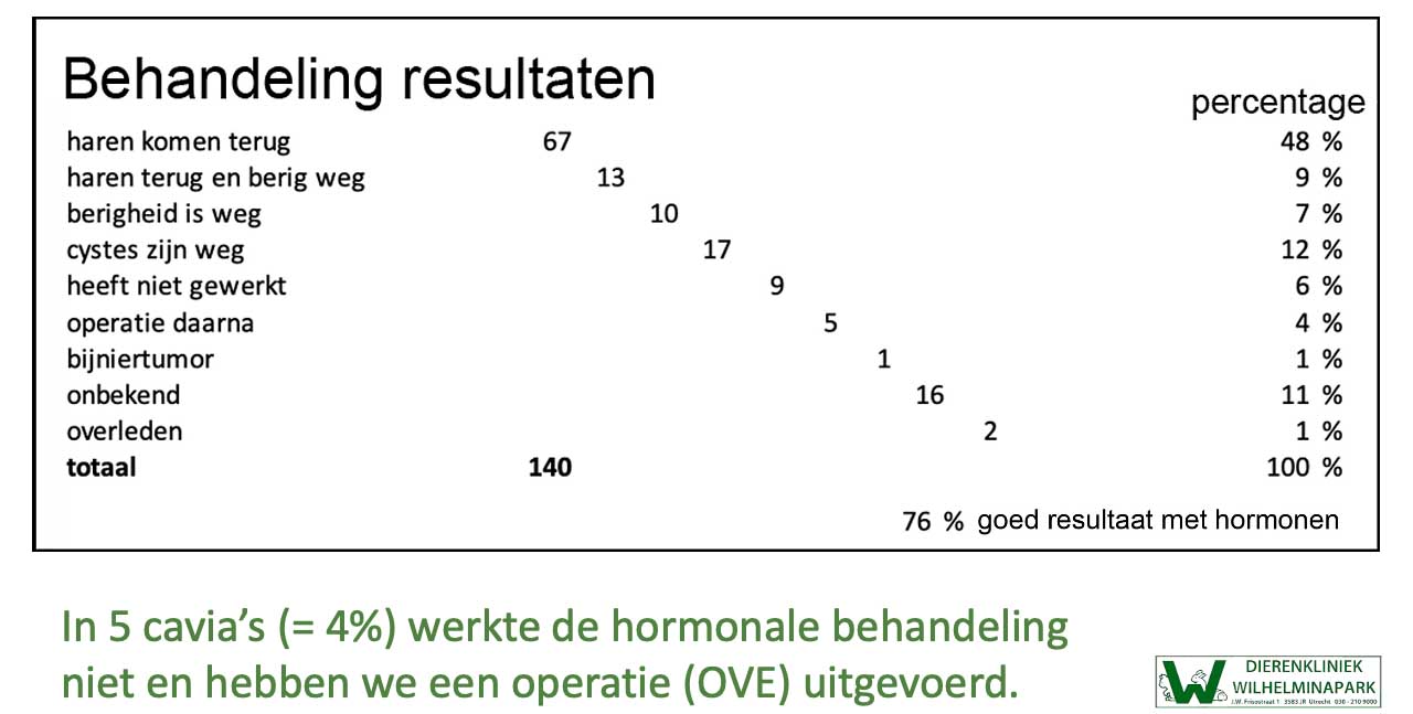 Bij cysteuze ovaria kunen we vaek een hormonale behandeling geven die een oplossing biedt. Als dit niet werkt is een operatie de oplossing.